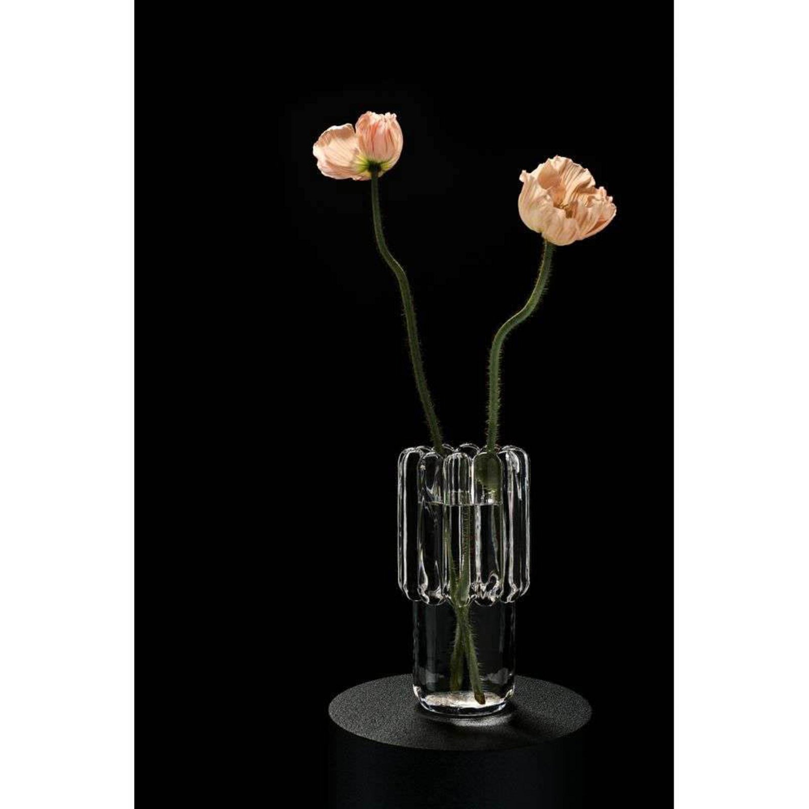 Press Vase Medium Clear - Tom Dixon