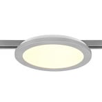 Camillus LED track light for DUOline, titanium, Ø 26 cm