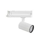 Spot LED Marco 2 Mini, blanc, 2.800 K, 24° / 36°, triphasé