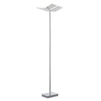 B-Leuchten Domi lampe sur pied LED