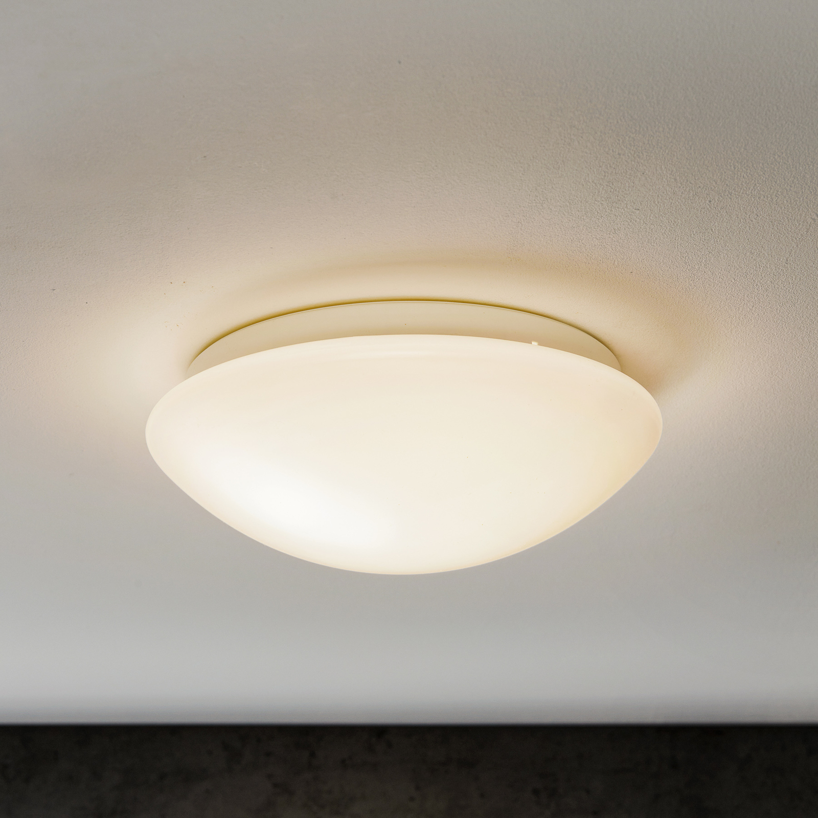 afgunst Geroosterd optie STEINEL RS 16 S LED plafondlamp met sensor | Lampen24.be