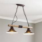 West pendant light with copper shades, 2-bulb