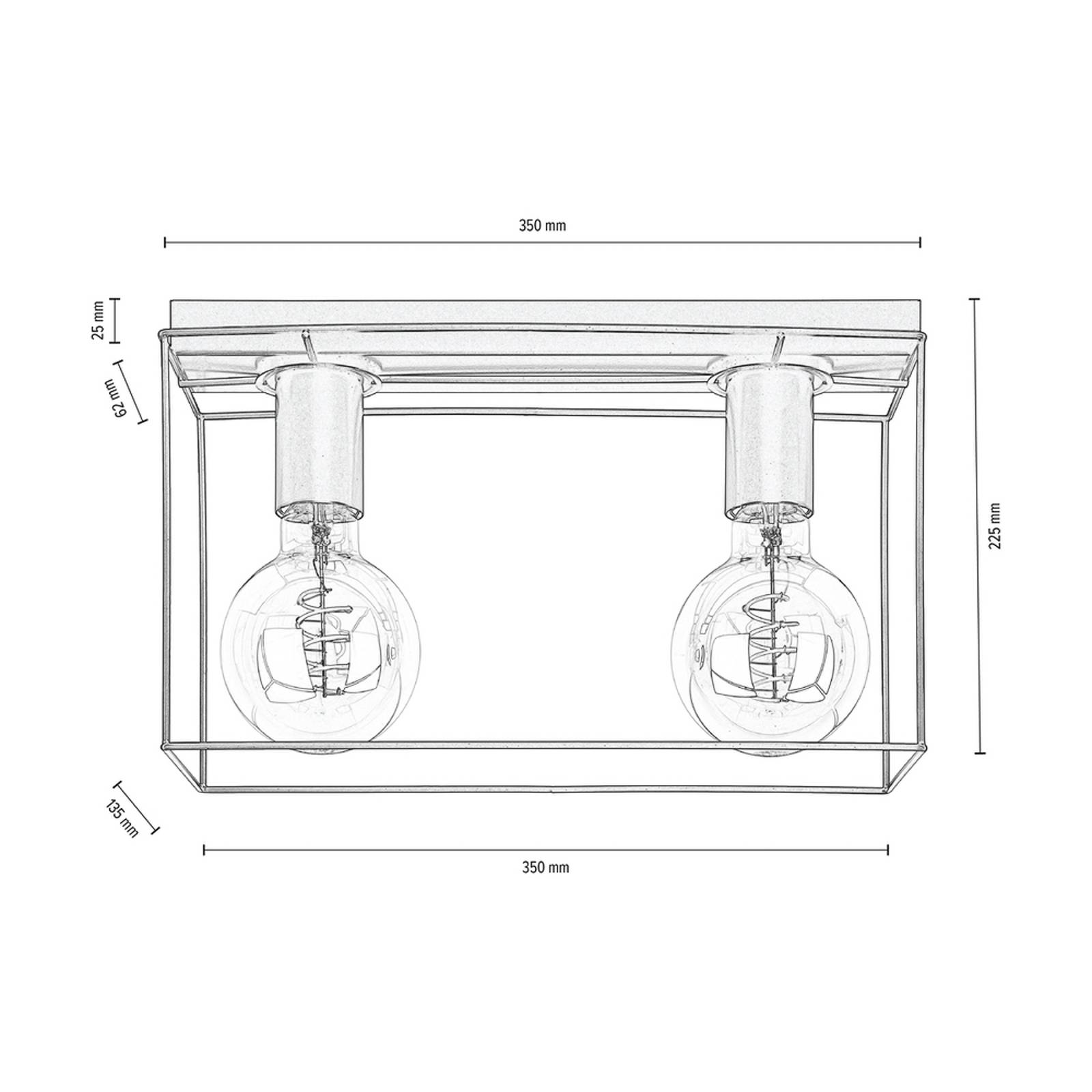 Euluna plafondlamp Trap, zwart, 2-lamps, voor woon-/ eetkamer, metaal, E27, 60 W, L: 35 cm, B: 13.5 H: 22.5 cm