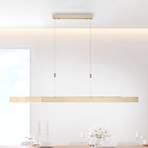 PURE Moto LED hanging light with a dimmer, brass