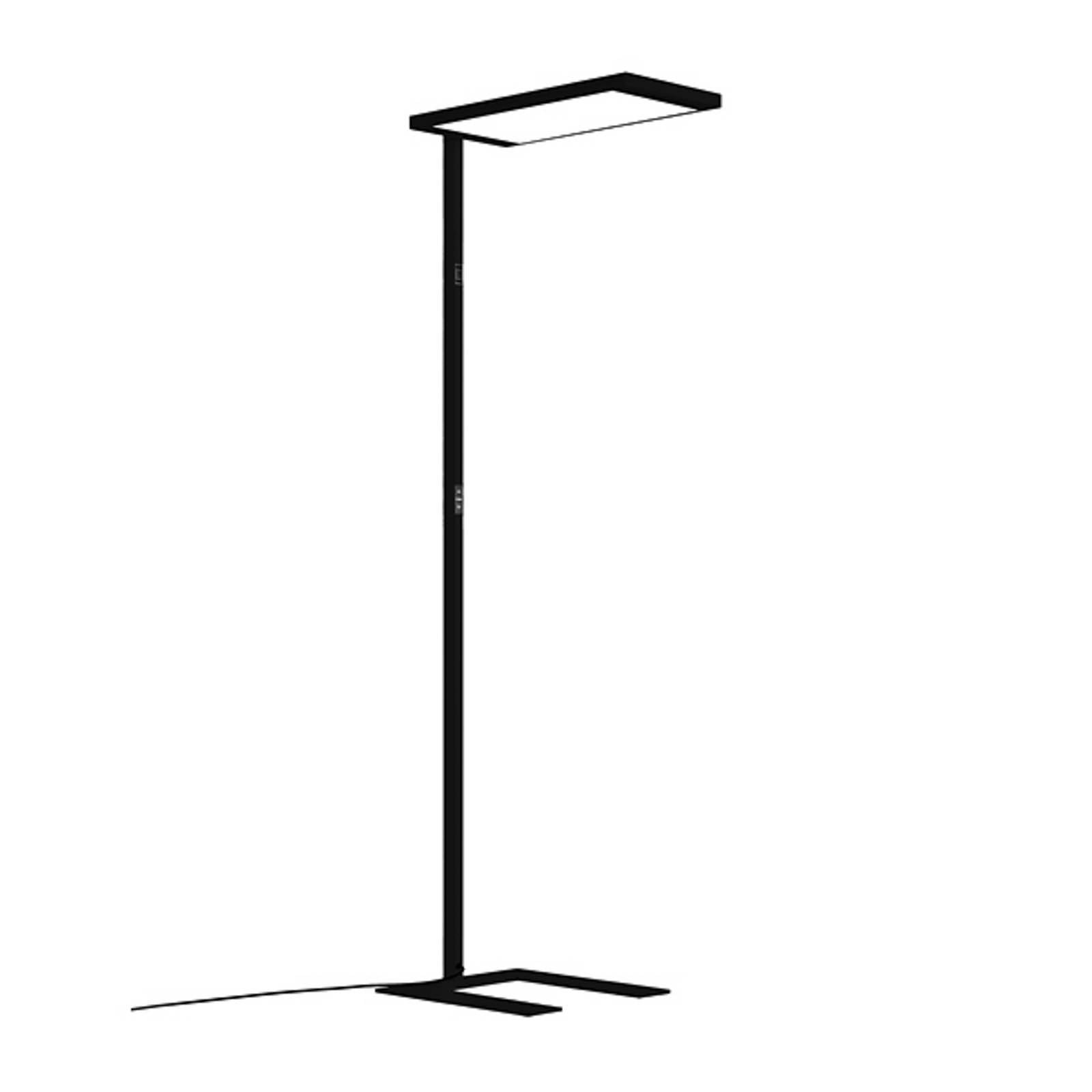 Waldmann Lampe sur pied LED Lavigo.single LTX, noire, CCT, connectée, avec capteur