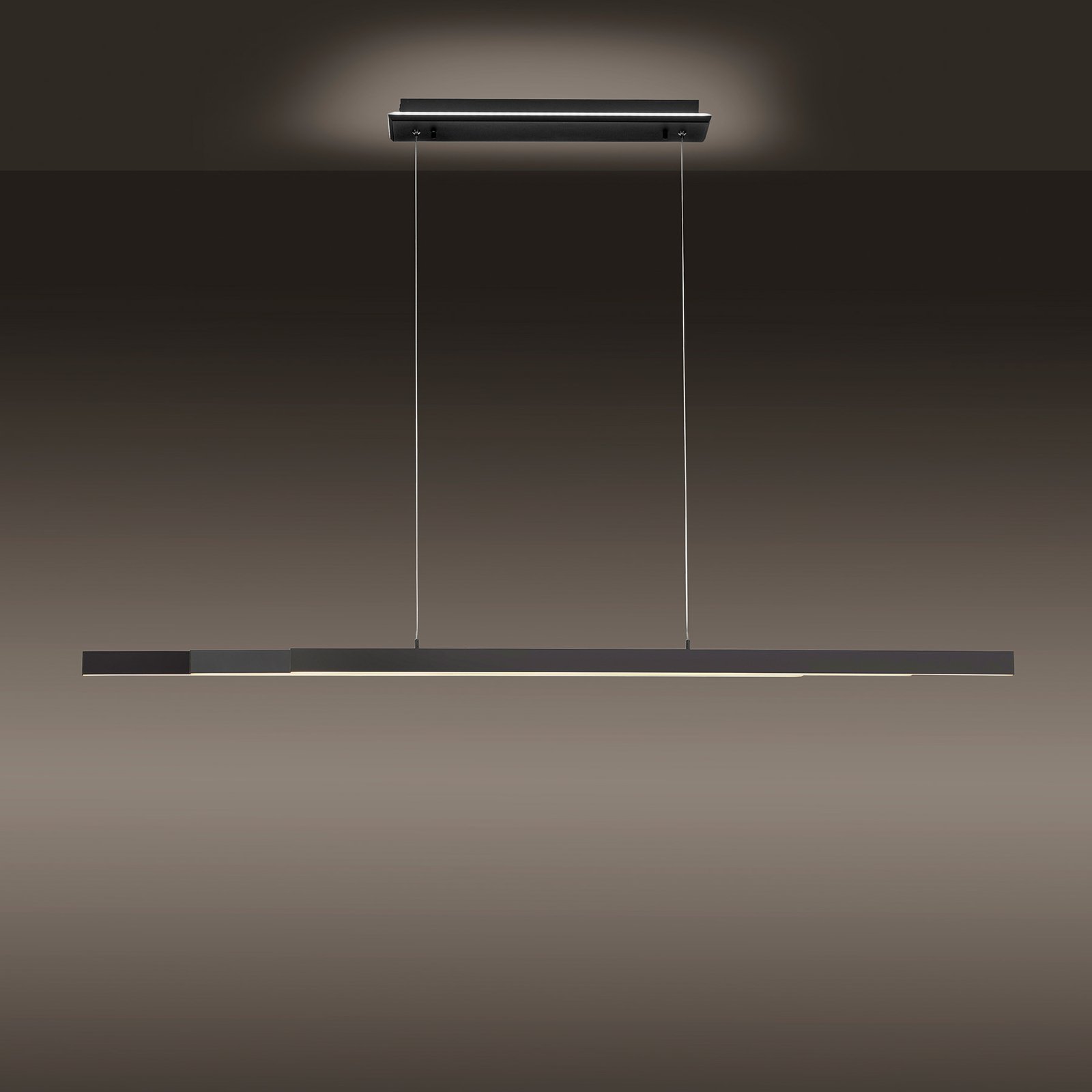 Paul Neuhaus Q-ARIAN LED hanglamp, antraciet