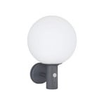 Aplique para exterior Ossy, antracita/blanco, con sensor, IP44, E27