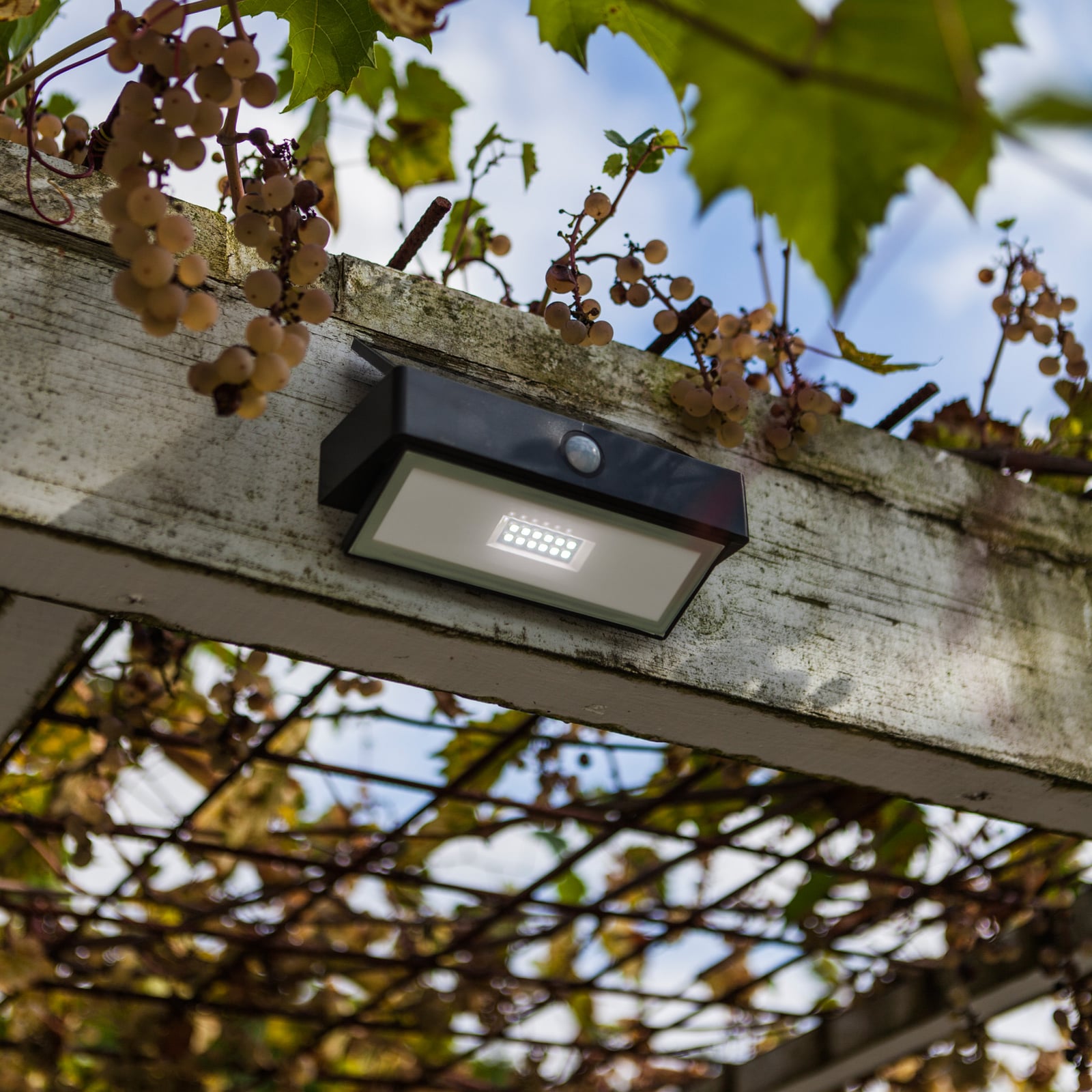 Applique d'extérieur LED ARROW, gris foncé, 18 cm, détecteur de mouvement, IP44