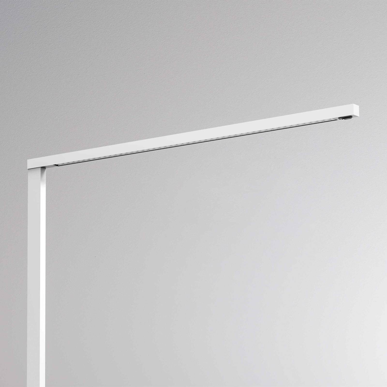 Molto Luce Floor Lamp - Workroom / Office - Downward Light - Floor Uplighter - dimmable - Modern - Black