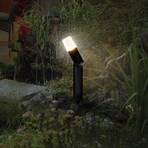 LEDVANCE LED grondspies lamp Endura Hybrid Rota Spike 1W