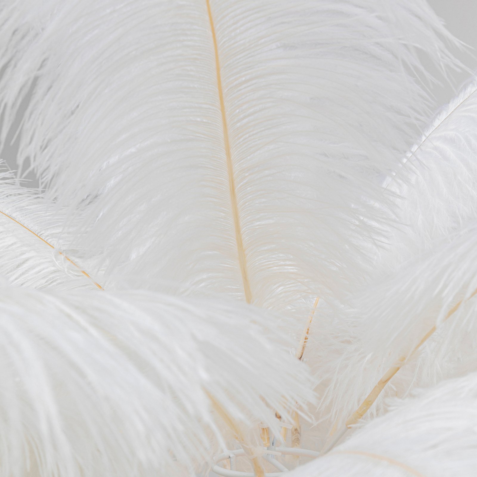 KARE Feather Palm-lattiavalaisin sulilla valkoinen