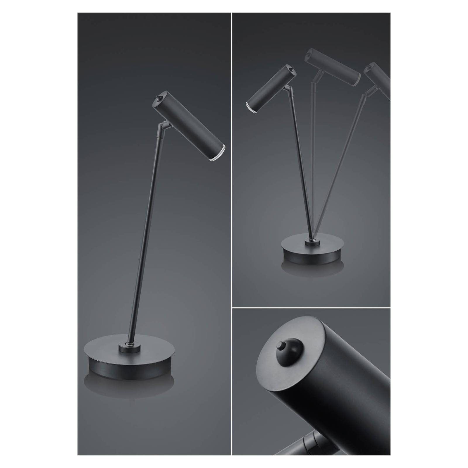 Image of HELL Lampe de table LED Tom, dimmable, noire 4045542225838