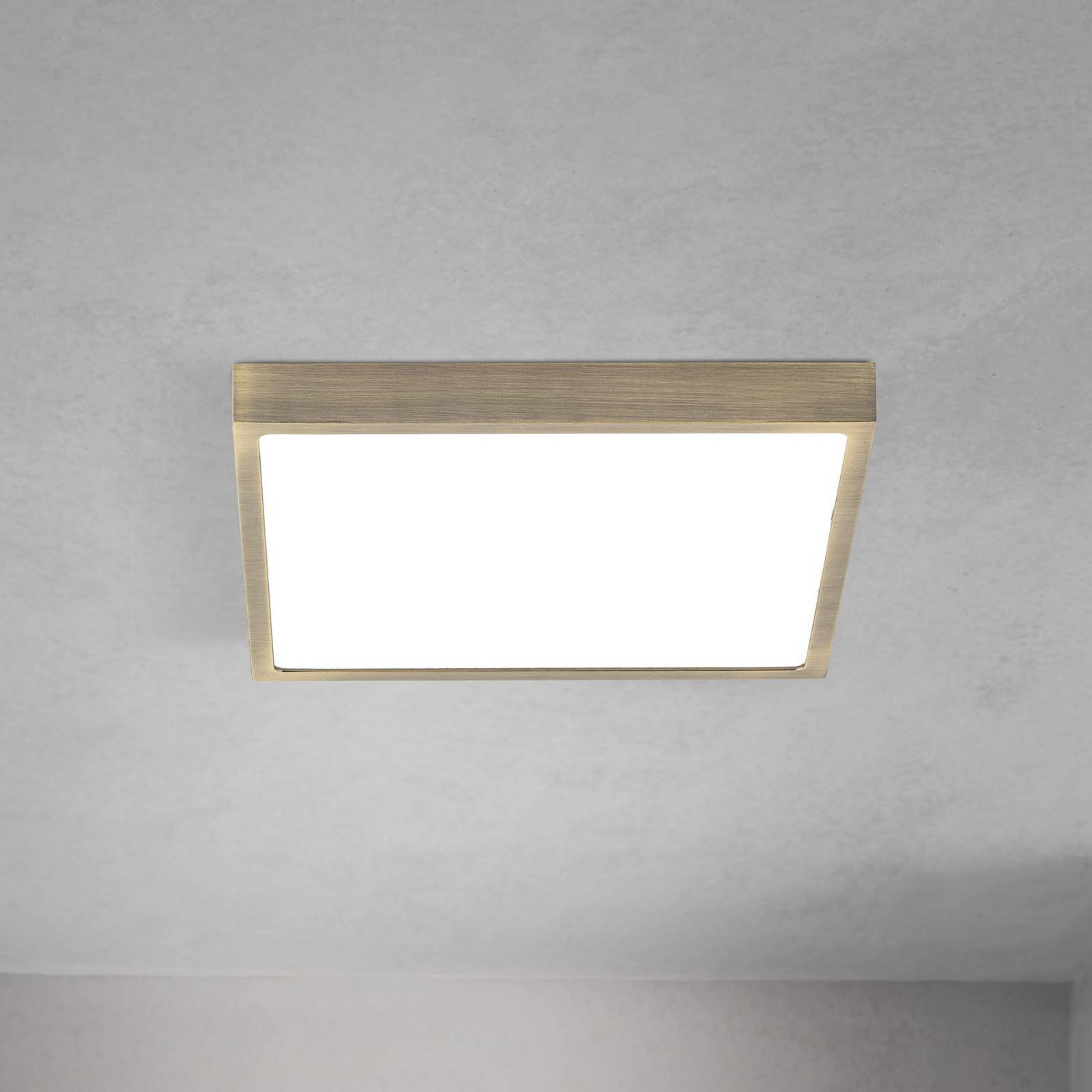 LED-Deckenlampe Disc, messingfarben antik, Länge 24 cm, CCT günstig online kaufen