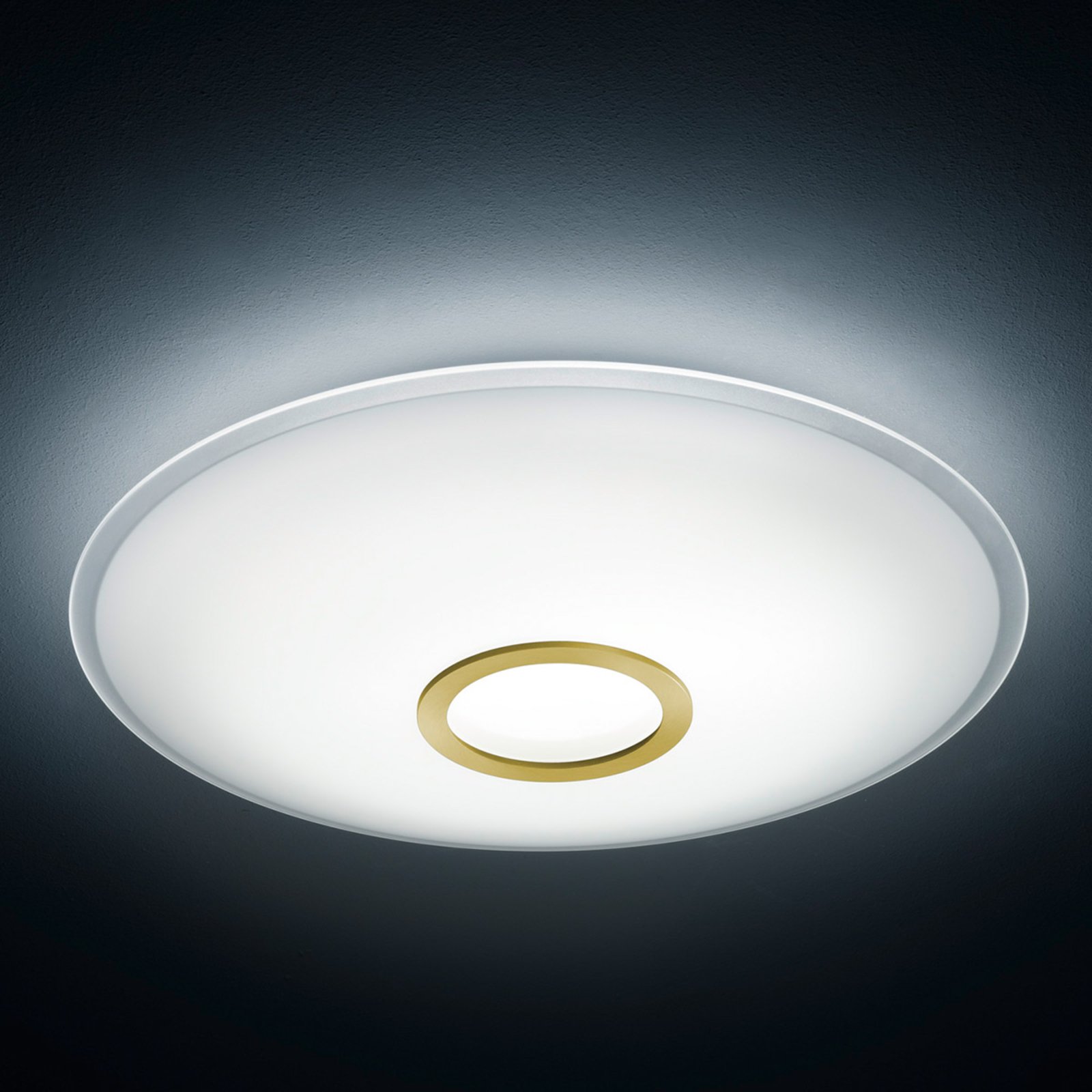 Helestra Matt brass LED ceiling light Nuno, for Living / Dining Room, aluminium, glass, 35 W, energy efficiency: A+, H: 10 cm