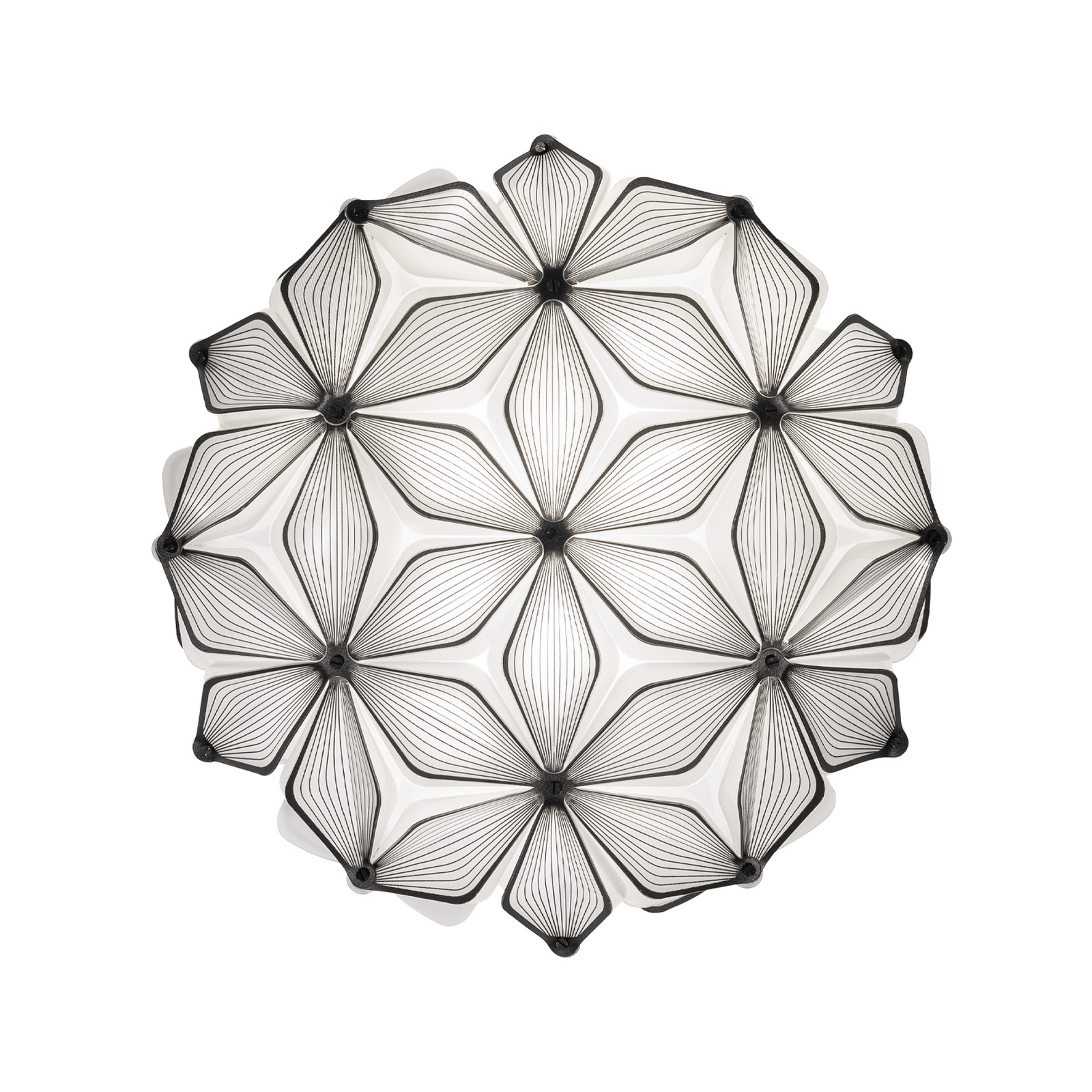 Lámpara de techo C'EST LA VIE, negra, Ø 34 cm, 2 luces, E14