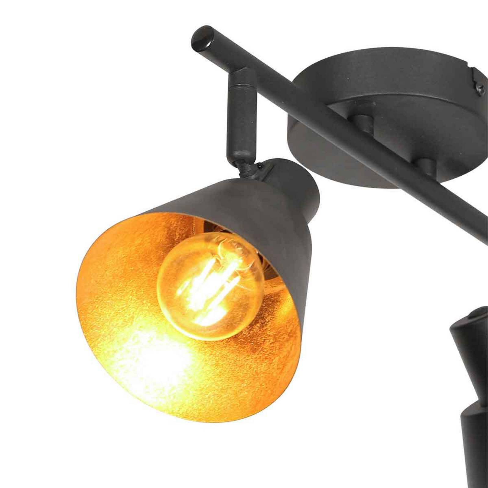 Reflektor sufitowy Oeroe, 2-punktowa, czarna, metalowa, E14