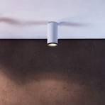 LED přisazené stropní světlo Lucea 15 W bílá