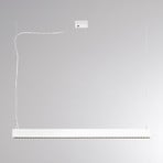 PERFORA PROLINE M LED hanging light, white, 106 cm, DALI up/down