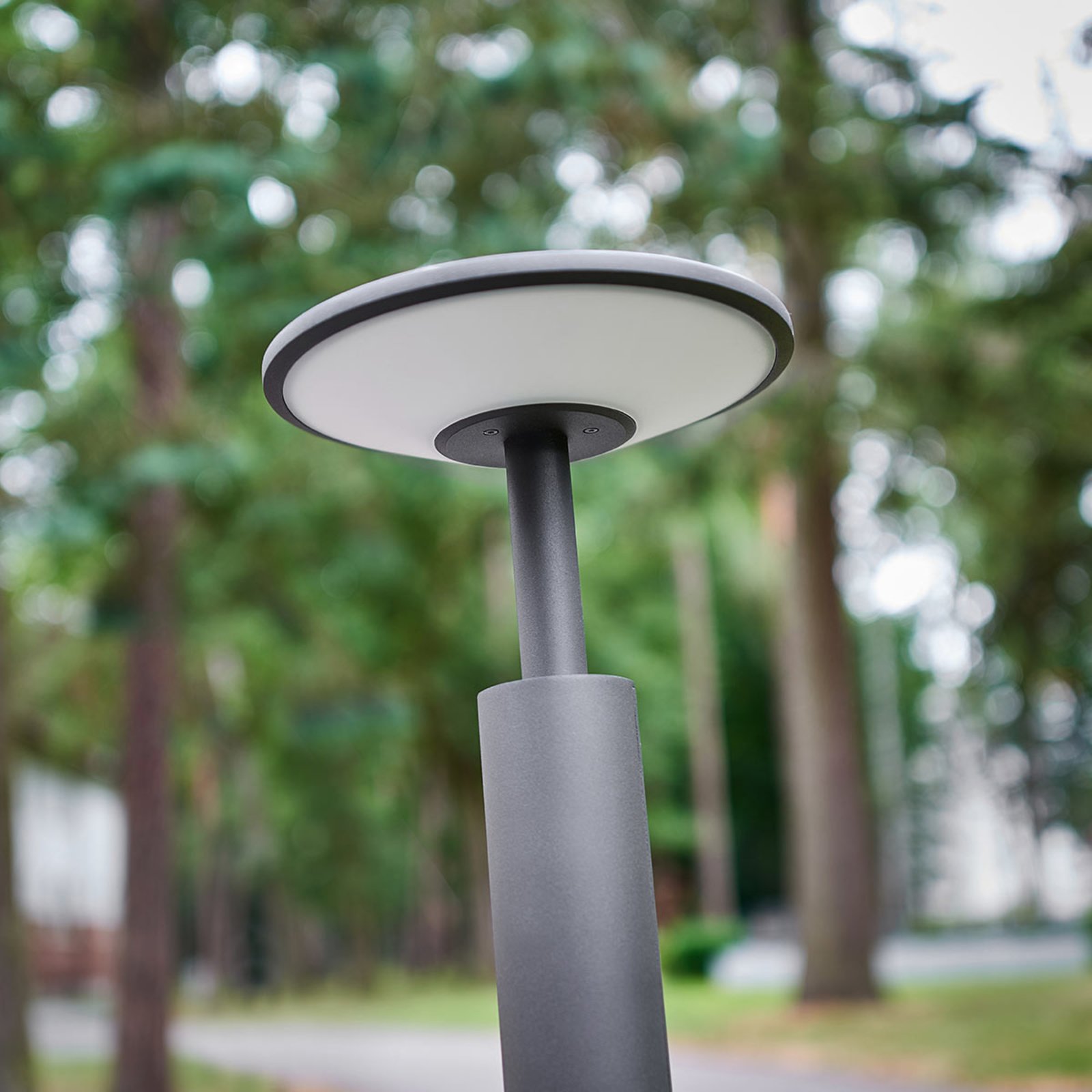 Fenia Buiten Tuinlamp H100 Anthracite/Opal - Lucande