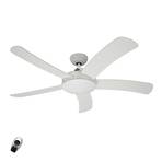 Falcetto ceiling fan with wood, white