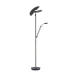 Mutil LED-Stehleuchte, graphite, Leselampe, CCT - PURE