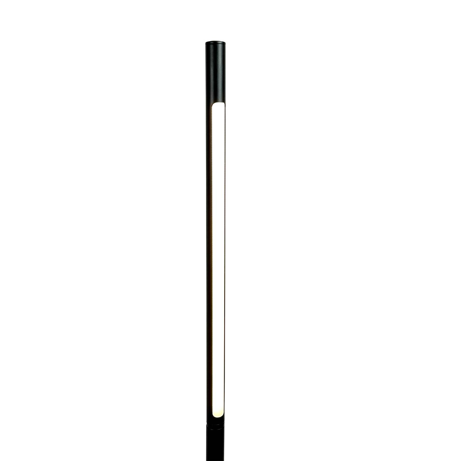 Dyberg Larsen Lampa stojąca LED Vagner, czarna, wysokość 150 cm