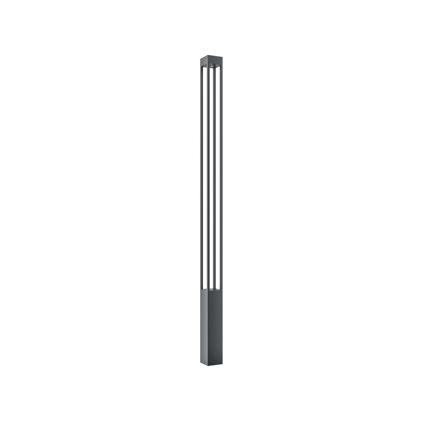 Maytoni LED outdoor light Elbe, height 200 cm, graphite-coloured