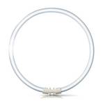 2GX13 40W 840 Ring-Leuchtstofflampe Master TL5