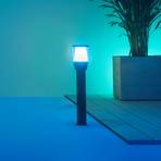 WiZ Elpas LED tuinpadverlichting RGBW start-set