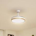 Lindby LED mennyezeti ventilátor Oras, fehér, egyenáramú, csendes, Ø 107 cm