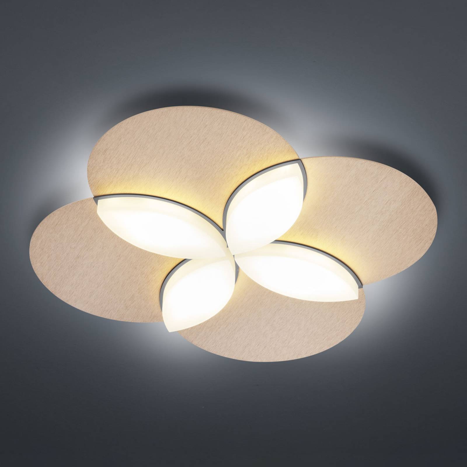 BANKAMP Spring LED ceiling light, rosé gold