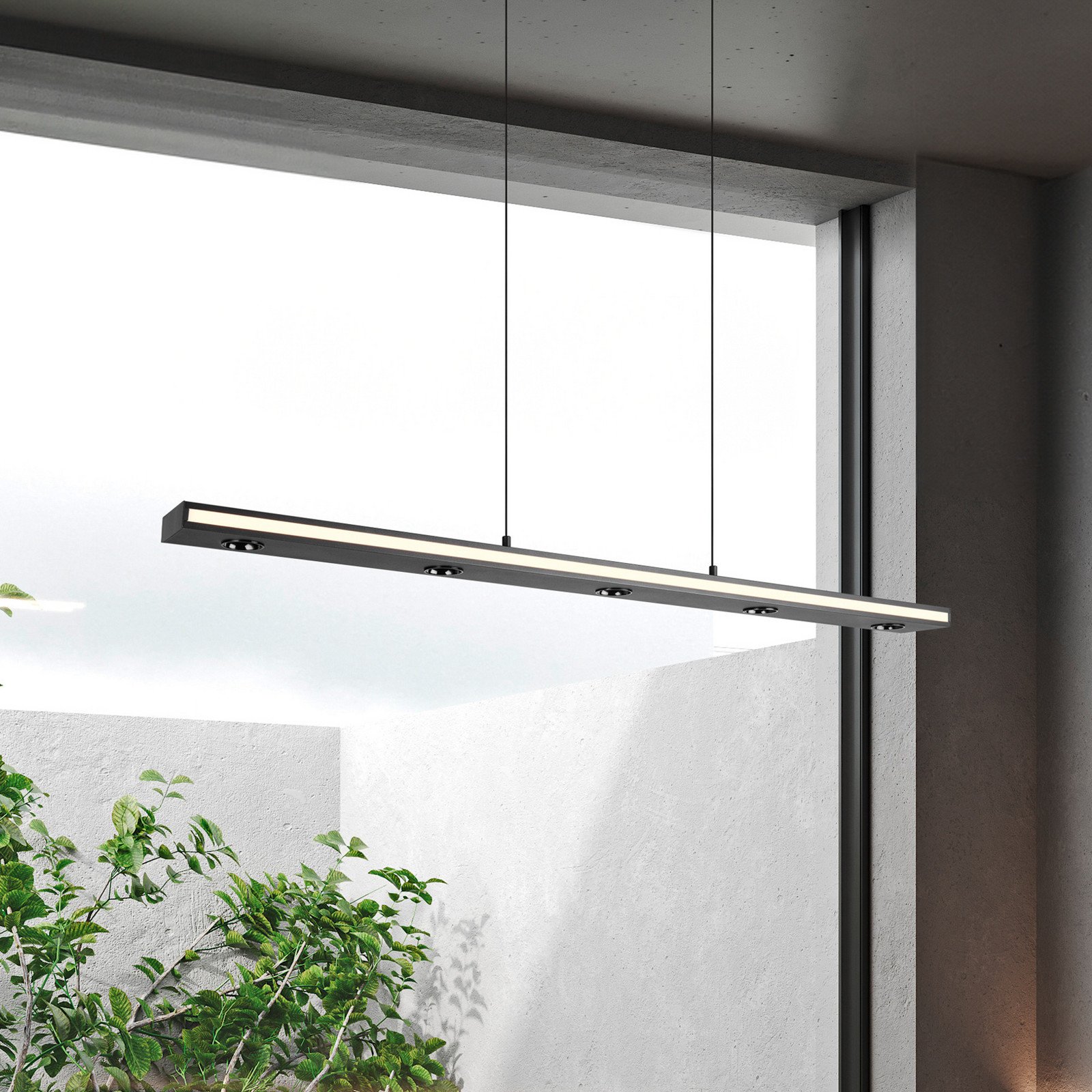 Trio Lighting Lampă suspendată LED Graham negru metal sus/jos CCT dimabil - Camera de zi / sufragerie - Modern - negru mat