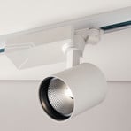 LED-Schienen-Strahler Eagle 3.000K