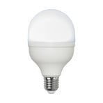 LED-lampa E27 20W 6 500 K 2 700 lumen, rund