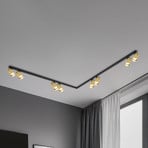 Hero downlight, black/gold, 8-bulb, 240 cm, metal