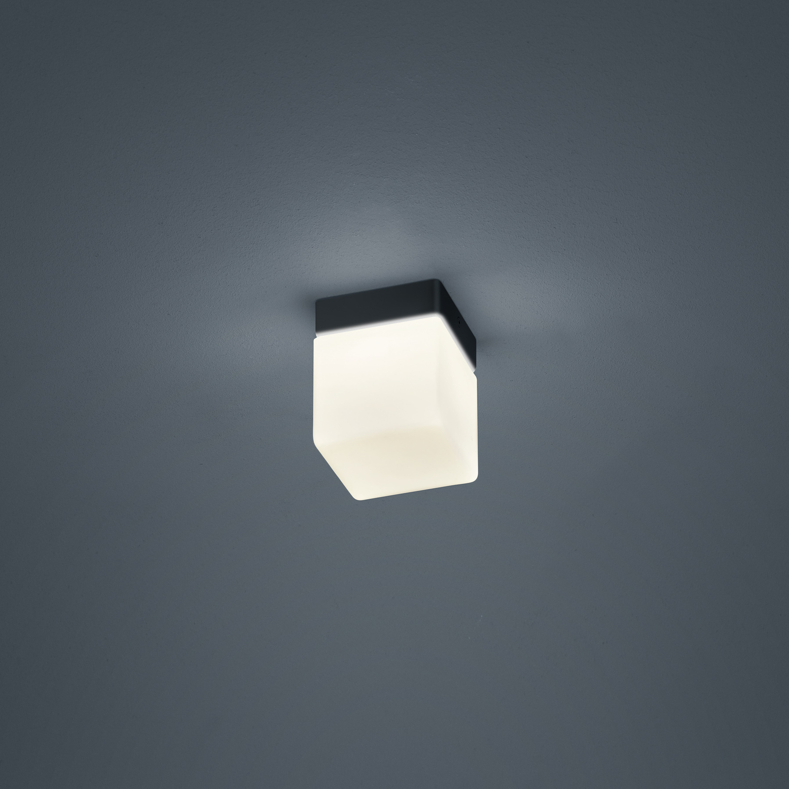 Helestra Keto LED plafondlamp, kubus, zwart