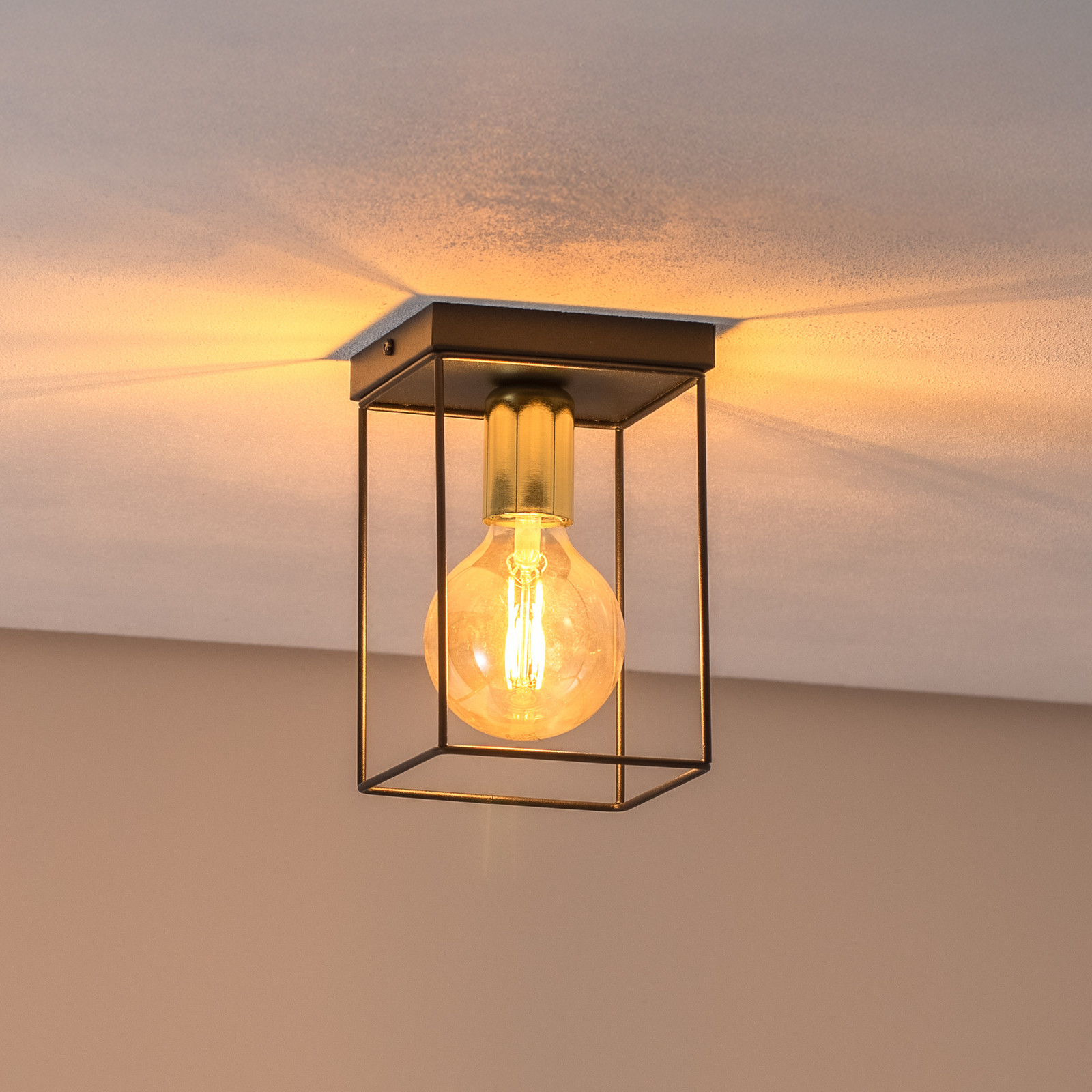 Luminex Plafonieră Anna cu cadru metalic 1 bec - Camera de zi / sufragerie - negru auriu