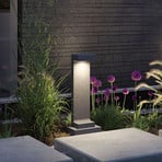 Paulmann Concrea LED teevalgusti, kõrgus 61 cm