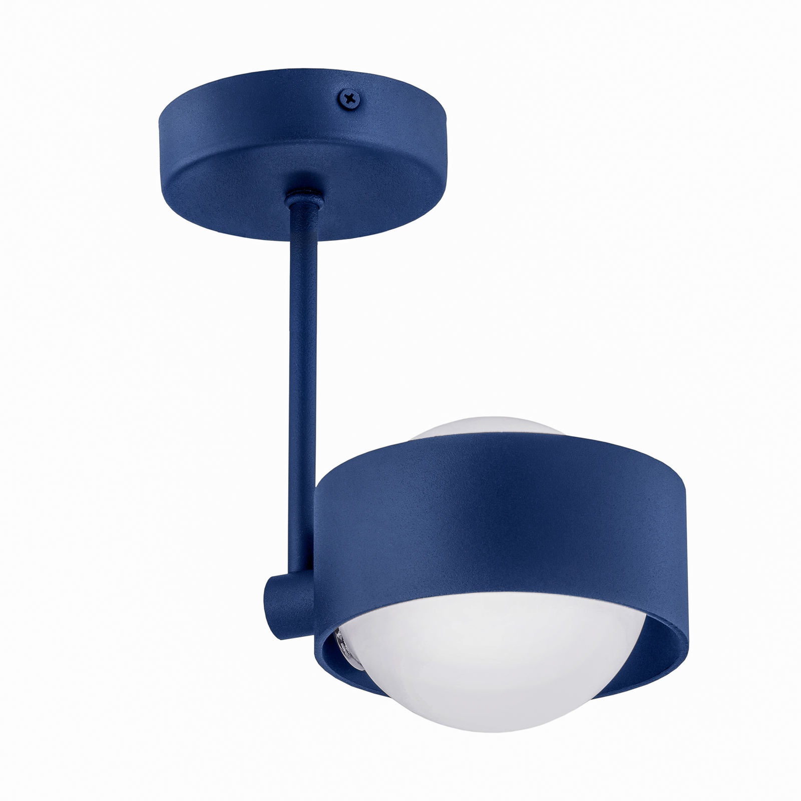 grillen vogel De Kamer Plafondlamp Mado van staal, blauw, 1-lamp | Lampen24.be
