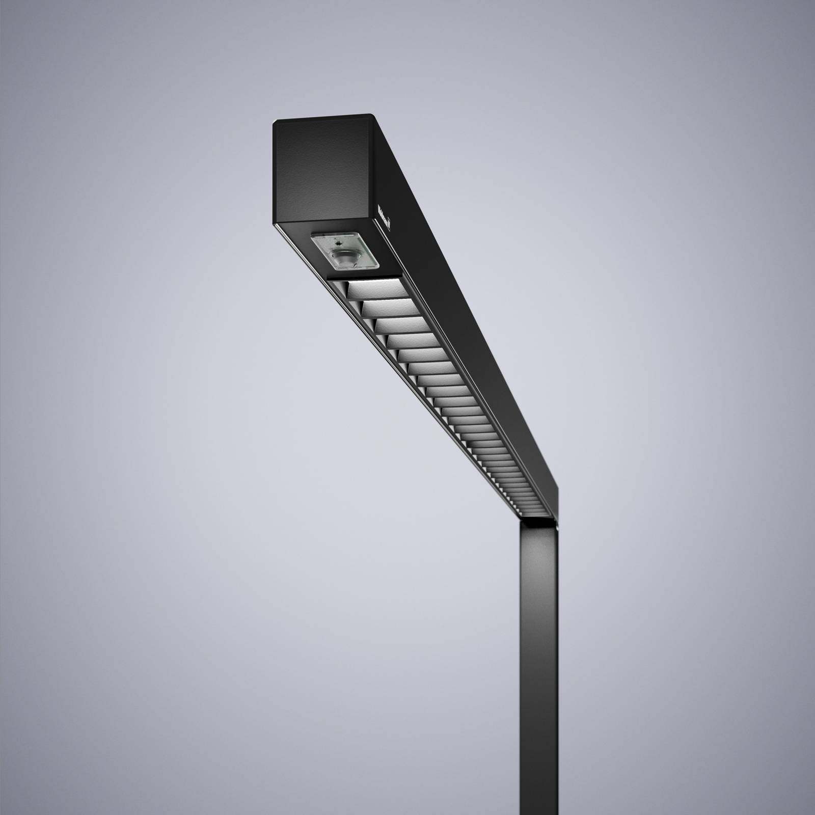 Lampa stojąca LED Straight.single, czarna, 4000 K, czujnik, 205 cm
