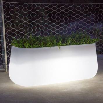 Newgarden Camelia Large vaso piante LED solar+accu