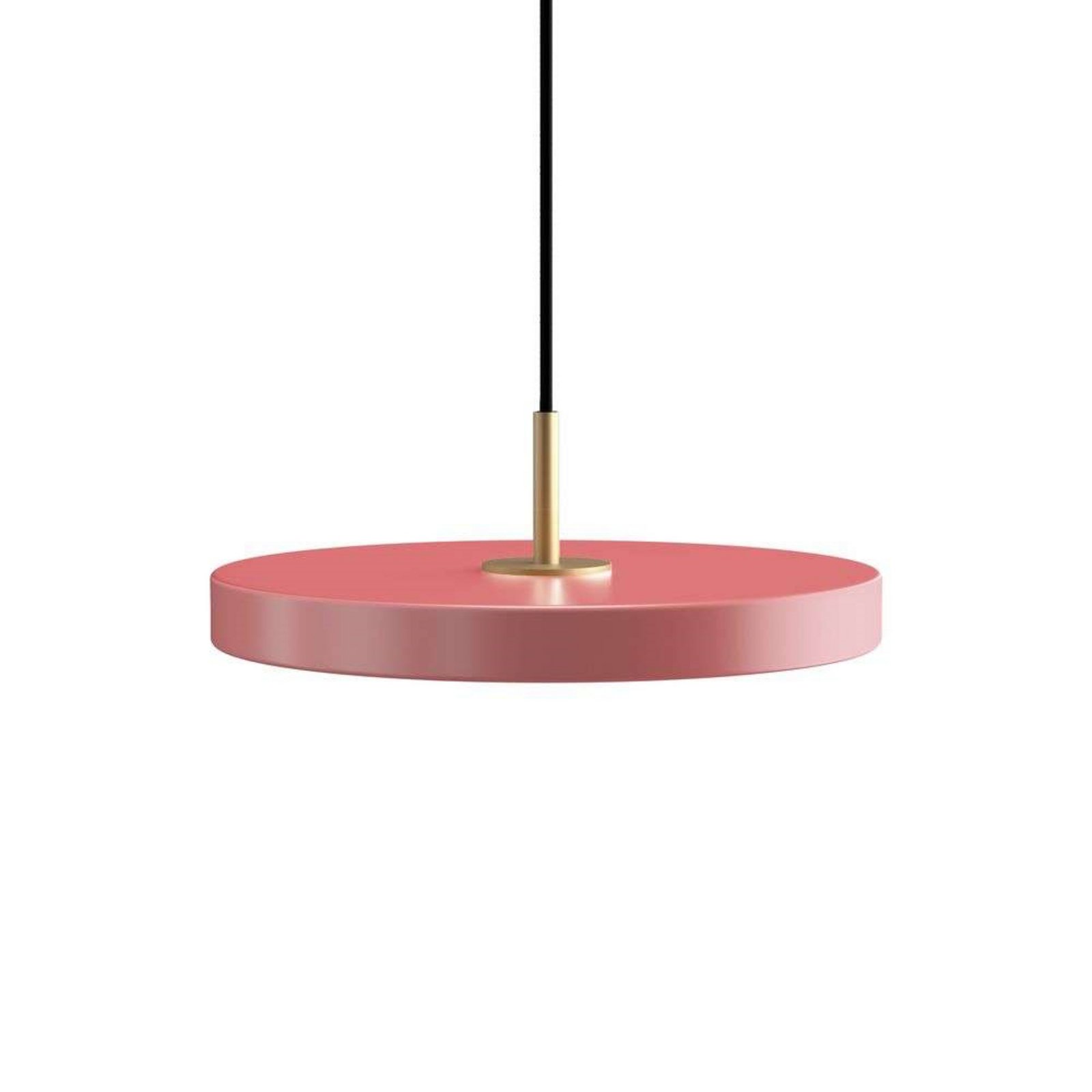 Asteria Mini Pendant Rose - UMAGE