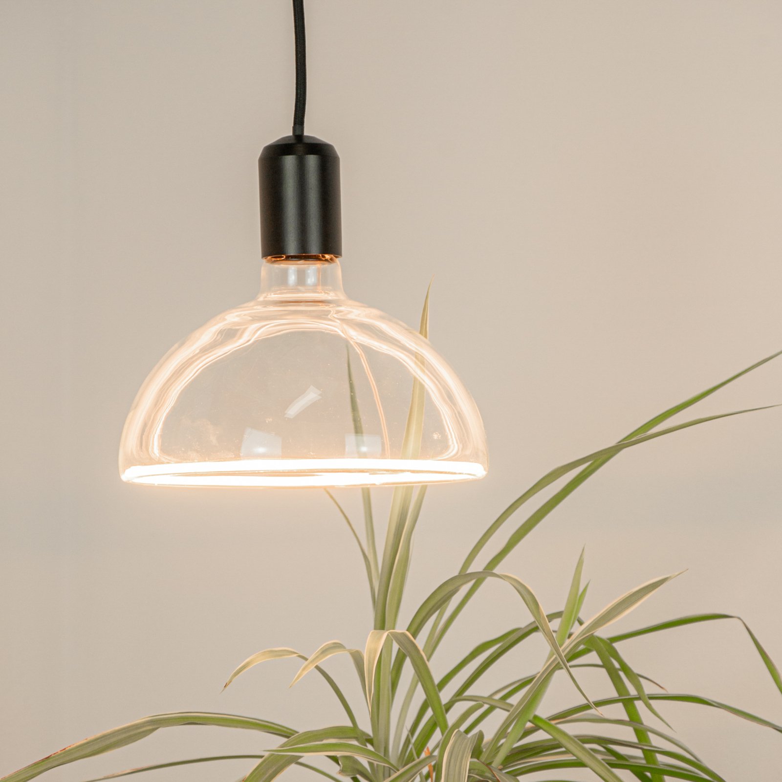 SEGULA LED lamp bowl E27 6,2W ambient dimbaar