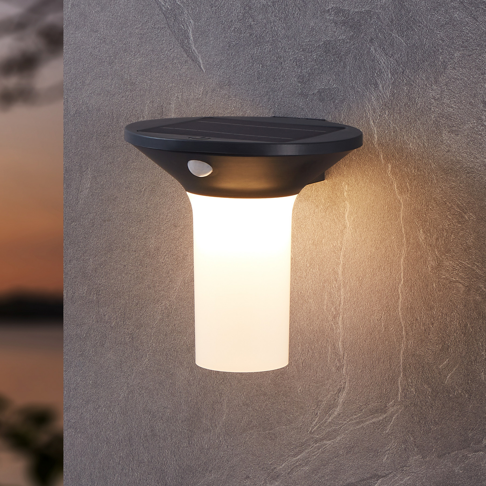 Corbezzola LED buiten wandlamp, zwart, sensor