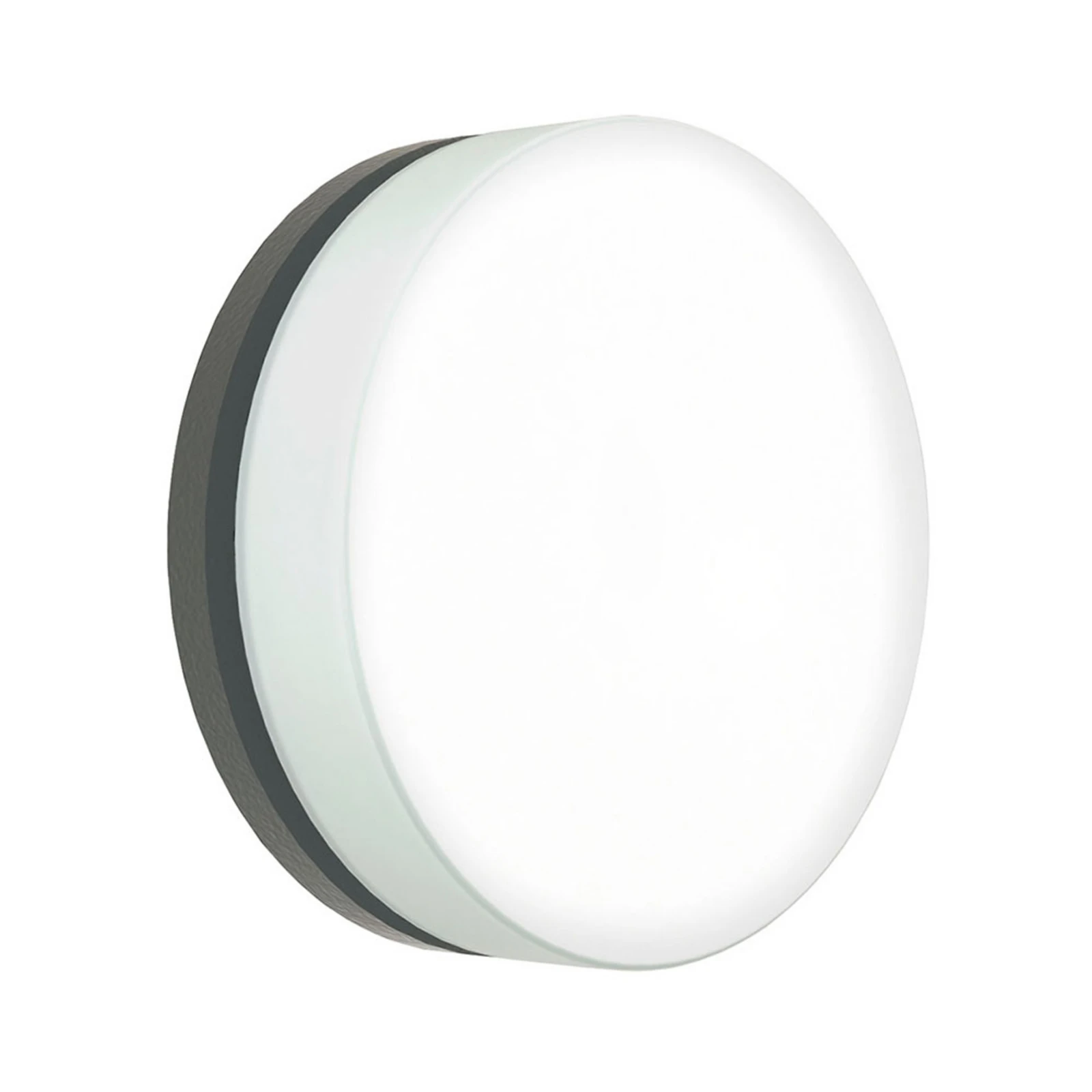 LED wall light 6307 anthracite, IP65, Ø 19 cm