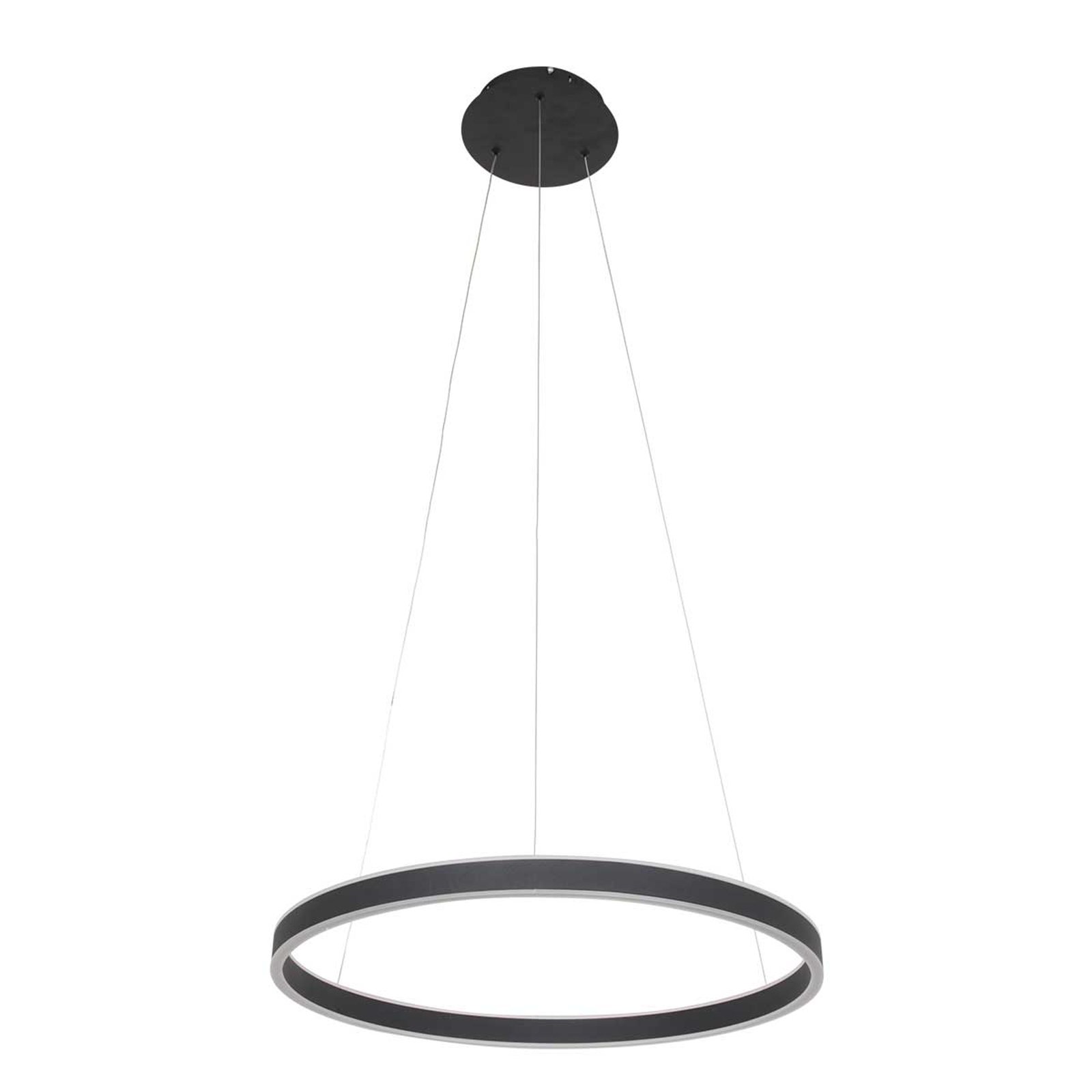 LED-Hängeleuchte Ringlux Ø 60cm 2-flammig schwarz