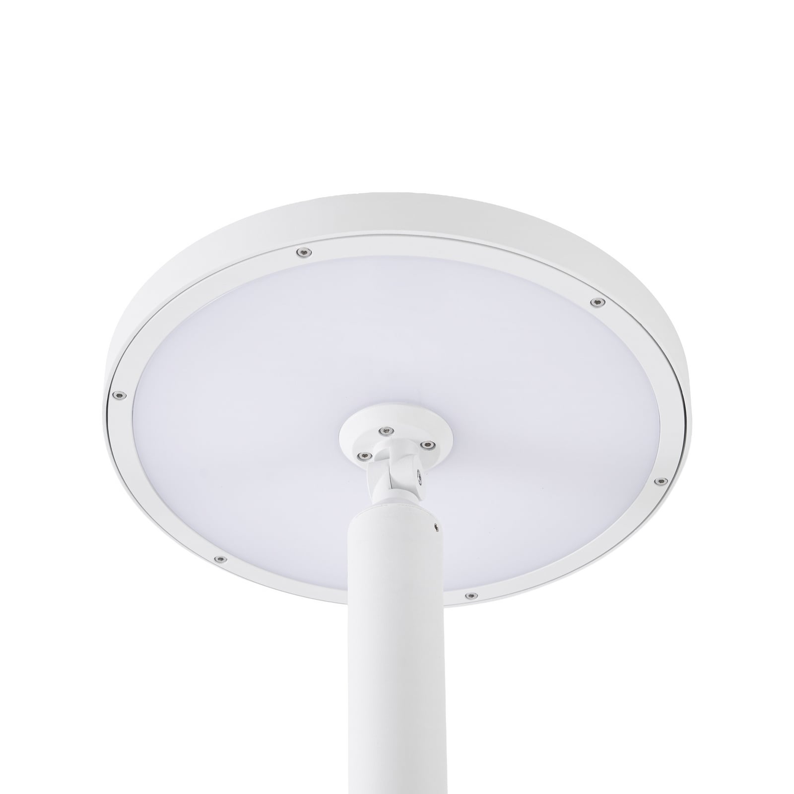 Lampa zewnętrzna LED Lucande Akito, biała, wysokość 260 cm, IP54