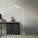 Pivaz LED floor lamp adjustable, touch dim white