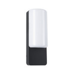 Bonnie Buiten Wandlamp SWR Antraciet - Paulmann