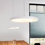 OLIGO Decent Max lámpara colgante LED blanco mate